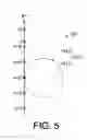 Fig. 05 - MACHINING ABNORMALITY AVOIDING SYSTEM AND MACHINING PATH MODIFICATION METHOD THEREOF