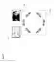 Fig. 09 - MULTI-MODE REMOTE CONTROL FLYING SYSTEMS