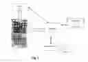 Fig. 02 - Haptic feedback for interactions with foldable-bendable displays