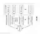 Fig. 52 - Resolving write request conflicts in a dispersed storage network