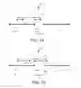 Fig. 02 - Systems and methods for handling application notifications