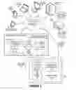 Fig. 02 - Aligning natural language to linking code snippets to perform a complicated task