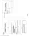 Fig. 09 - Generating a predictive data structure