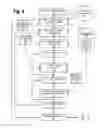 Fig. 05 - Dynamic portmanteau word semantic identification