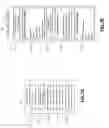 Fig. 10 - File-Type-Dependent Query System