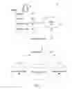 Fig. 02 - Constructing graphs from attributes of member profiles of a social networking service