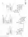 Fig. 07 - Classification of data in main memory database systems