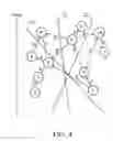 Fig. 06 - Distributed systems and methods for database management and management systems thereof