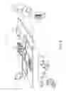 Fig. 07 - Transmitting card objects based on categorized and scraped data