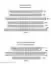 Fig. 07 - Providing answers to questions including assembling answers from multiple document segments