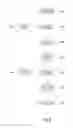 Fig. 06 - ONTOLOGY BROWSER AND GROUPING METHOD AND APPARATUS