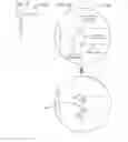 Fig. 12 - Mesh generation system and method