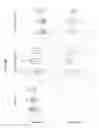 Fig. 06 - Methods and compositions for personalized pain management