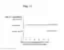 Fig. 22 - Methods and compositions for personalized pain management