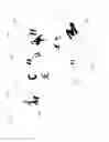 Fig. 05 - Unicode-based image generation and testing