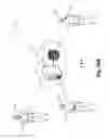 Fig. 33 - Systems and methods for determining an emotional environment from facial expressions