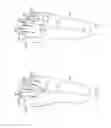 Fig. 08 - DEVICES AND METHODS INCLUDING BARE FEET IMAGES FOR WEIGHT MEASUREMENT