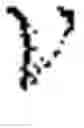 Fig. 04 - Discovery of semantic similarities between images and text