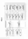 Fig. 05 - PRODUCT INFORMATION OUTPUTTING METHOD, CONTROL DEVICE, AND COMPUTER-READABLE RECORDING MEDIUM