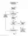 Fig. 03 - Advertising during the loading of content