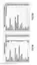 Fig. 11 - SYSTEM FOR ANALYZING AND DISPLAYING OF INDIVIDUAL AND AGGREGATED DATA