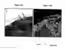 Fig. 17 - METHOD FOR ANALYZING BIOLOGICAL SPECIMENS BY SPECTRAL IMAGING