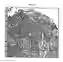 Fig. 22 - METHOD FOR ANALYZING BIOLOGICAL SPECIMENS BY SPECTRAL IMAGING