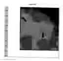 Fig. 23 - METHOD FOR ANALYZING BIOLOGICAL SPECIMENS BY SPECTRAL IMAGING