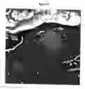 Fig. 28 - METHOD FOR ANALYZING BIOLOGICAL SPECIMENS BY SPECTRAL IMAGING