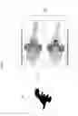 Fig. 04 - System and method for transmitting cross-sectional images of three-dimensional object and transmitting apparatus for executing the same