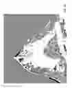 Fig. 23 - Contrast medium uptake time computation using magnetic resonance imaging