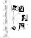 Fig. 03 - Code domain power control for structured light