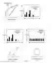Fig. 04 - SHAPE RECOGNITION