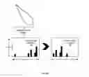 Fig. 05 - SHAPE RECOGNITION