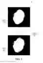 Fig. 04 - Methods and systems for generating a user-hair-color model