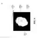 Fig. 08 - Methods and systems for generating a user-hair-color model