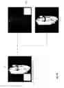 Fig. 07 - Isotropic volume reconstruction from multiple 2D scans using super-resolution techniques