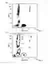 Fig. 03 - Graphics control during flow cytometry event gating