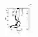 Fig. 04 - Graphics control during flow cytometry event gating