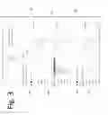 Fig. 04 - Method for Multi-Parameter Microscopy Visualization