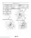 Fig. 13 - Intelligent visualization munging