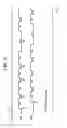 Fig. 05 - Organic light emitting display and driving method thereof