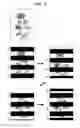 Fig. 06 - Organic light emitting display and driving method thereof