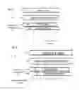 Fig. 10 - ENHANCEMENTS FOR USE OF A DISPLAY IN A SOFTWARE CONFIGURABLE LIGHTING DEVICE