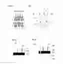 Fig. 22 - ENHANCEMENTS FOR USE OF A DISPLAY IN A SOFTWARE CONFIGURABLE LIGHTING DEVICE