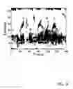 Fig. 10 - REAL-TIME METHOD FOR IMPLEMENTING DEEP NEURAL NETWORK BASED SPEECH SEPARATION