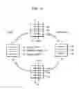Fig. 06 - Semiconductor memory device including shorted variable resistor element of memory cell