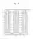 Fig. 07 - Nonvolatile memory device with controlled word line setup time