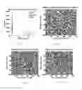Fig. 13 - Physically unclonable function based on domain wall memory and method of use