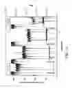 Fig. 15 - Long length high temperature superconducting wires with uniform ion implanted pinning microstructures